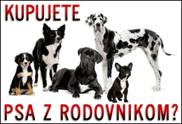 Vzreditelji na mojpes.netu