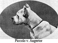 Picolo v. Angertor